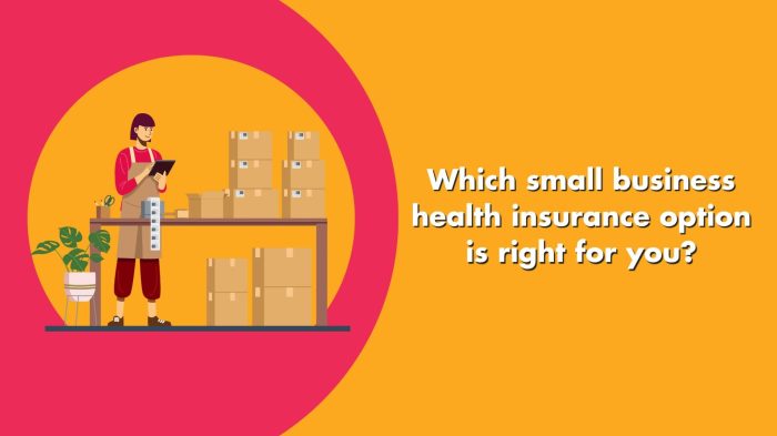 Best Small Business Health Insurance Options In 2025