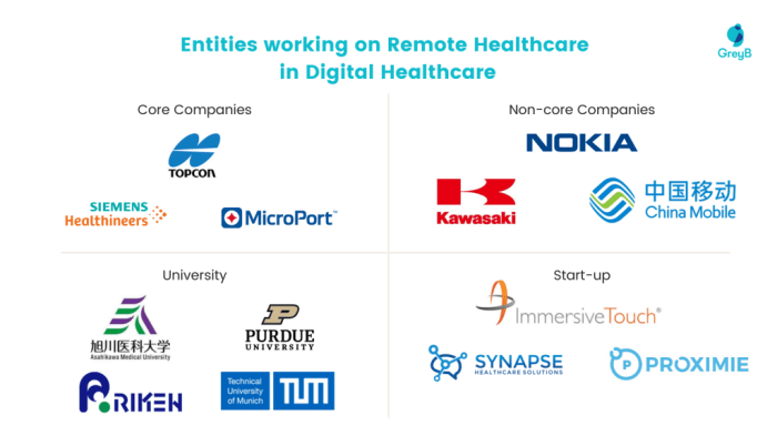 Remote Healthcare: Are telecom companies leading the way? - GreyB