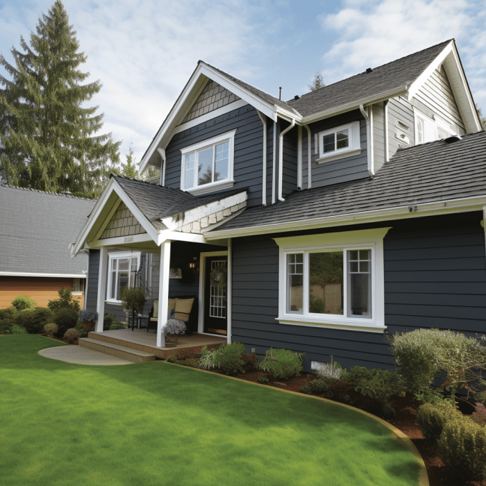 Combatting Mold in Siding - KV Construction